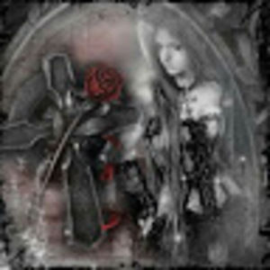 Meet your Posher, Robyn